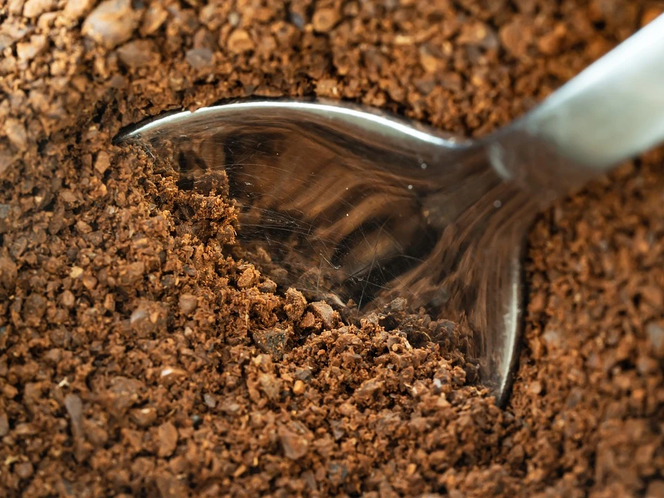 choose best ground coffee